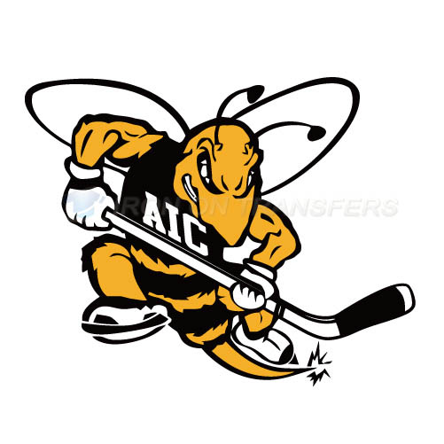 AIC Yellow Jackets 2009-Pres Alternate Iron-on Stickers (Heat Transfers)NO.3685